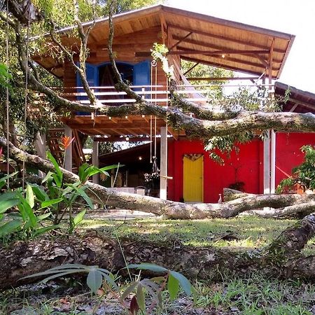Casa Estilosa E Rustica Com Vista Para O Por Do Sol Da Ilha Do Mel! Bagian luar foto